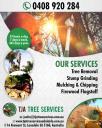 Tree Stump Grinding Adelaide | TJA Tree Services logo